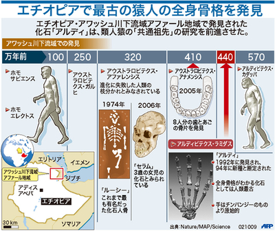 【図解】エチオピアで最古の猿人の全身骨格を発見