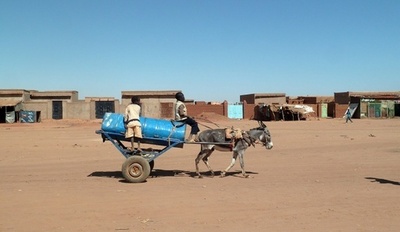 南アフリカでは牛肉からロバの肉、横行する食肉の偽装表示