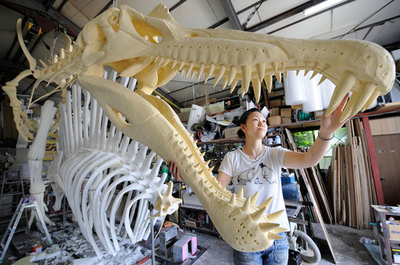 肉食恐竜スピノサウルスの骨格、「恐竜2009」で再現