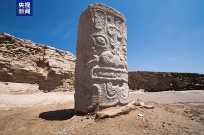 中国巨大古城跡・石モウ遺跡の最新DNA研究　先史社会の構造と系譜を解明