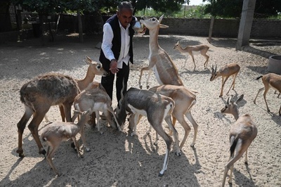 元祖「エコ戦士」 ヒンズー教ビシュノイ派、環境保護に全身全霊