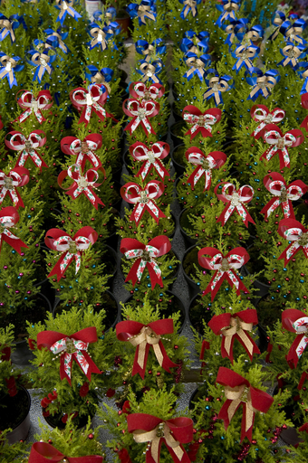 姑を外泊させてストレスの無いクリスマスを、英ホテルチェーンが企画