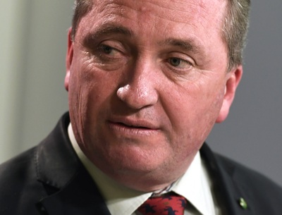 豪副首相、二重国籍で議員資格喪失 連立政権が下院の過半数失う