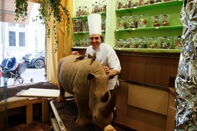 角のために殺されたサイ、180キロのチョコで追悼 仏