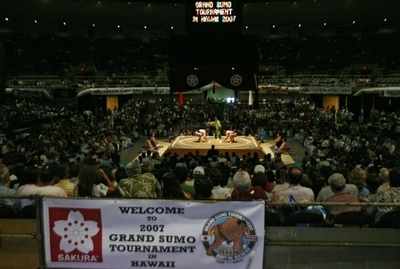 日本相撲協会 豊桜と間垣親方に処分下すと発表