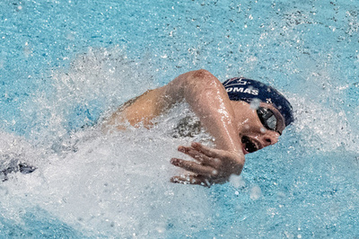 国際水連、トランスジェンダー選手の新カテゴリー創設へ