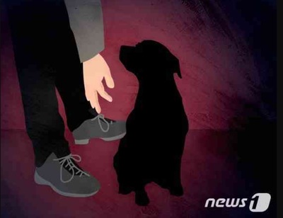 韓国・犬の葬儀場に呼ばれ、香典箱も…「出すのが道理」vs「必要なのか？」