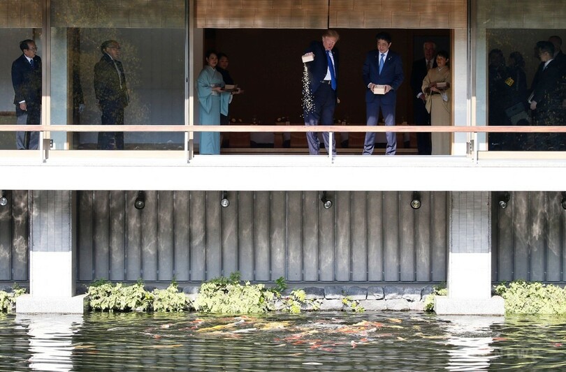 トランプ氏の「豪快」な餌やり、ネットで怒りの声生む