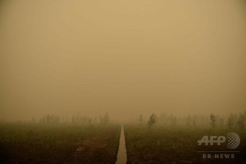 インドネシアの煙霧被害、死者19人に増加