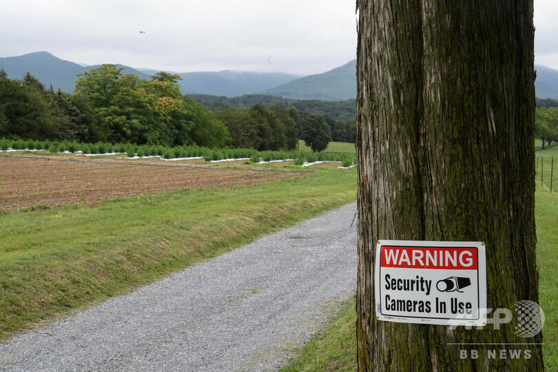 「大麻とは違う」ヘンプの栽培農家、飽和市場や泥棒に苦戦 米国