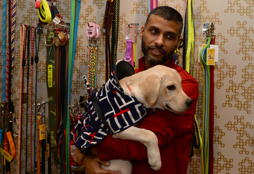 犬になりたい 至れり尽くせりの超高級ペットホテル インド 写真14枚 国際ニュース Afpbb News