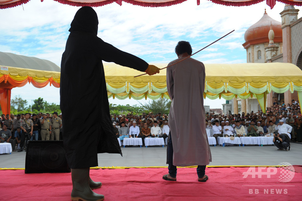 密猟者にむち打ち100回の刑 インドネシア・アチェ州で施行へ 密猟者にむち打ち100回の刑 インドネシア・アチェ州で施行へ