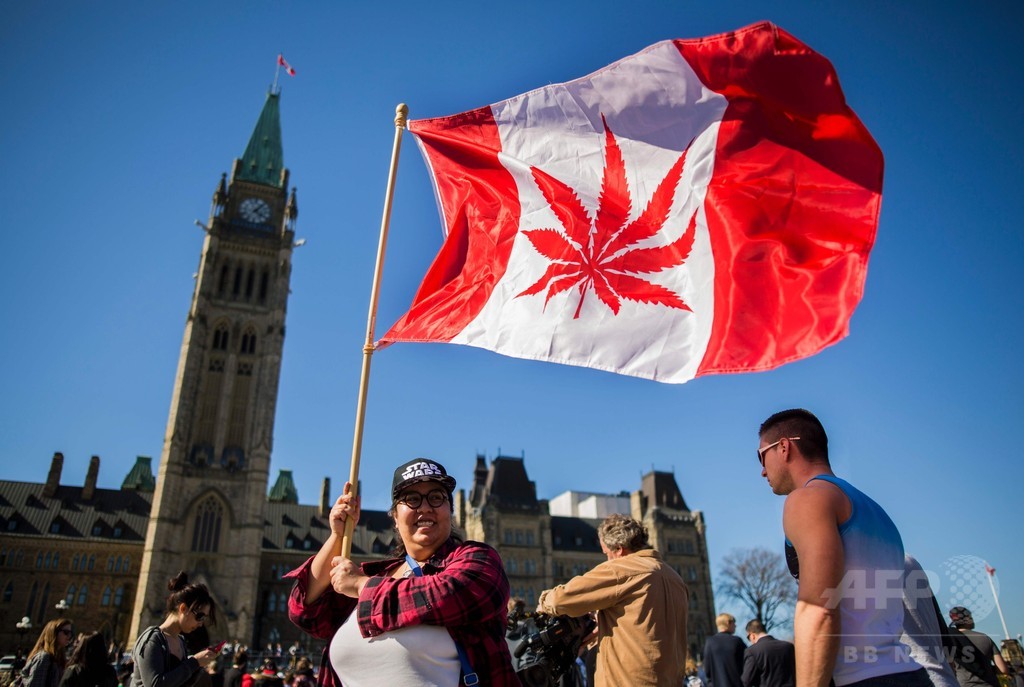 カナダ、嗜好品の大麻を来夏合法化へ 法案発表、世界2か国目 カナダ、嗜好品の大麻を来夏合法化へ 法案発表、世界2か国目