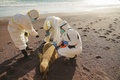 ペルー・イカ州のパラカス国立自然保護区で、アシカの死骸を確認する職員ら。ペルー国立自然保護区管理事務局提供（2023年1月25日撮影）。(c)AFP PHOTO / SERNANP