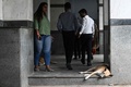 インドの首都ニューデリーで、歩行者専用区域で寝転ぶ野良犬（2023年8月4日撮影）。(c)Money SHARMA / AFP