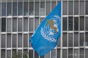 パートナーからの暴力・性暴力被害、女性の約3人に1人 WHO発表