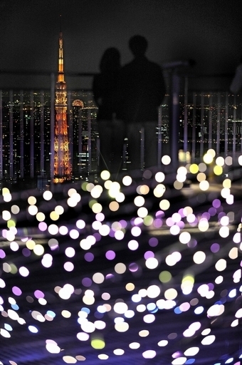 クリスマスに恋人欲しい男性70％、でも積極的な行動は苦手