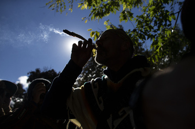 作用が強い大麻と精神疾患発症リスクに強い関連性 研究