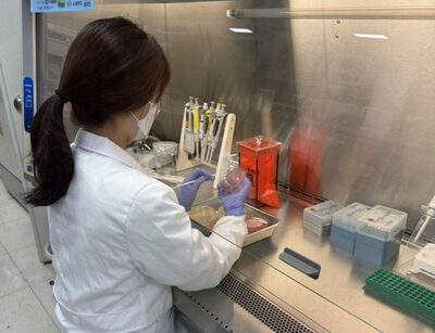 韓国の首都圏、CRE感染症が過去最多3万1113人…全国の63％集中