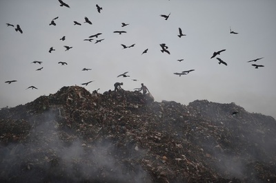 煙の上がるごみ埋め立て地で廃棄物集め インド