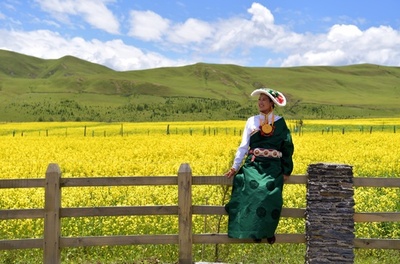 菜の花畑、山河、チベット族住居が織りなす風景