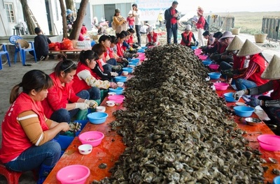 中国・北海に真珠採りのシーズン到来