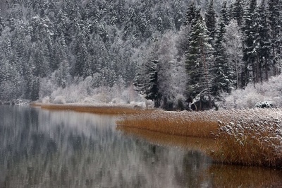 冬本番、森や湖に雪化粧 ドイツ