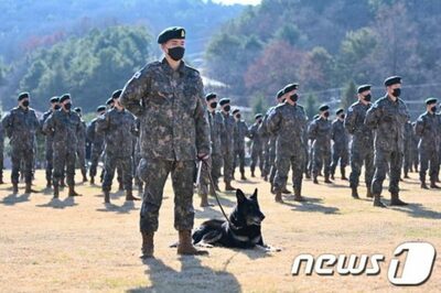 韓国「陸海空統合」軍犬訓練所を検討…引退犬の老後管理強化