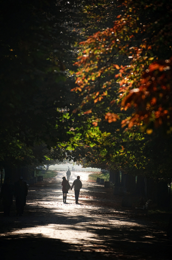 ブルガリア、秋の公園