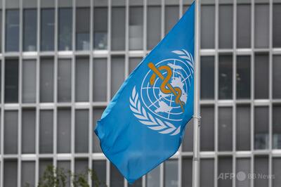 パートナーからの暴力・性暴力被害、女性の約3人に1人 WHO発表