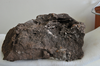 ほぼ完全な人類の祖先の骨格化石見つかる、南アフリカ