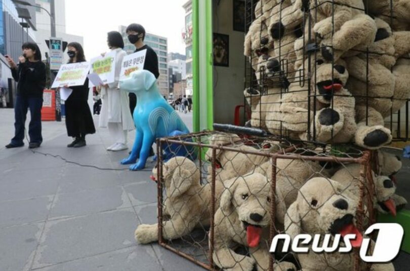 犬食問題の終息をアピールする市民ら(c)news1