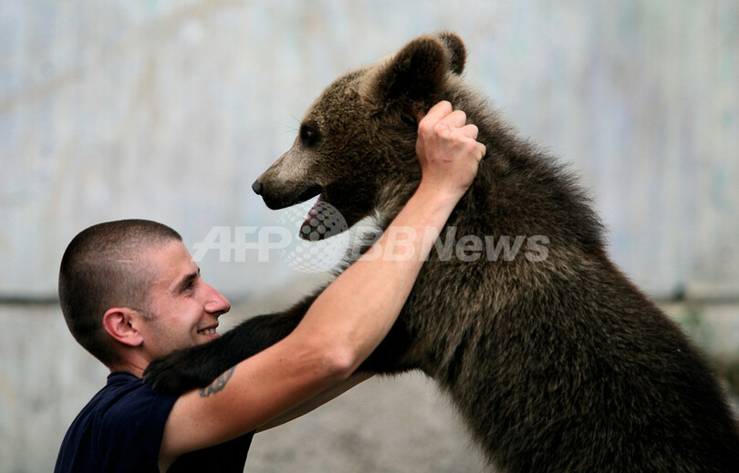 クマが木で背中をこするのは 痒い からではなく 怖い から 写真1枚 国際ニュース Afpbb News