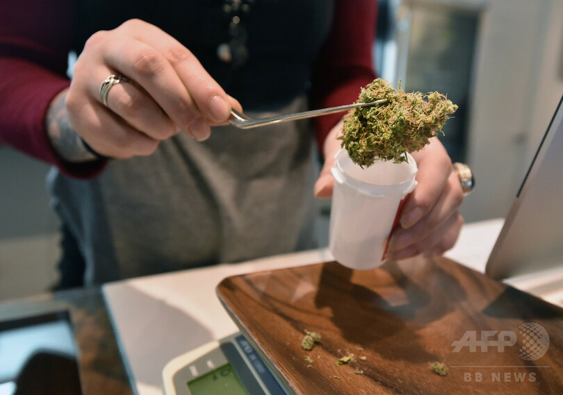 デンマーク、医療用大麻の試験的導入プログラム実施へ