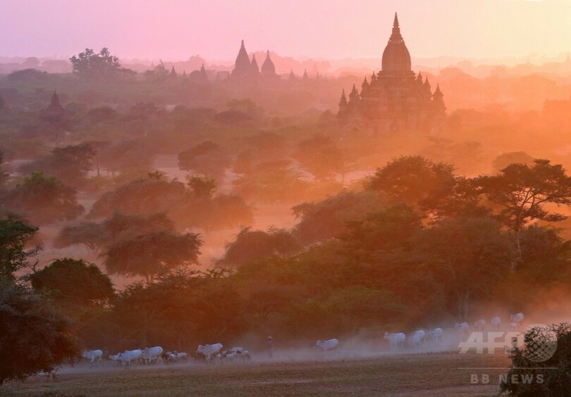 ミャンマーのバガン遺跡 仏塔登りを禁止 観光客ら不適切行為 写真14枚 国際ニュース Afpbb News
