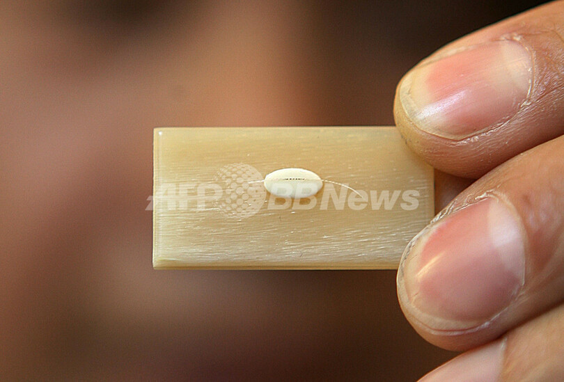 何にだって書けます 顕微鏡で極小の字を書く達人 香港 写真4枚 国際ニュース Afpbb News