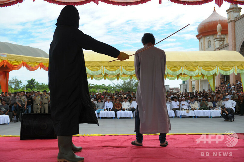密猟者にむち打ち100回の刑 インドネシア・アチェ州で施行へ