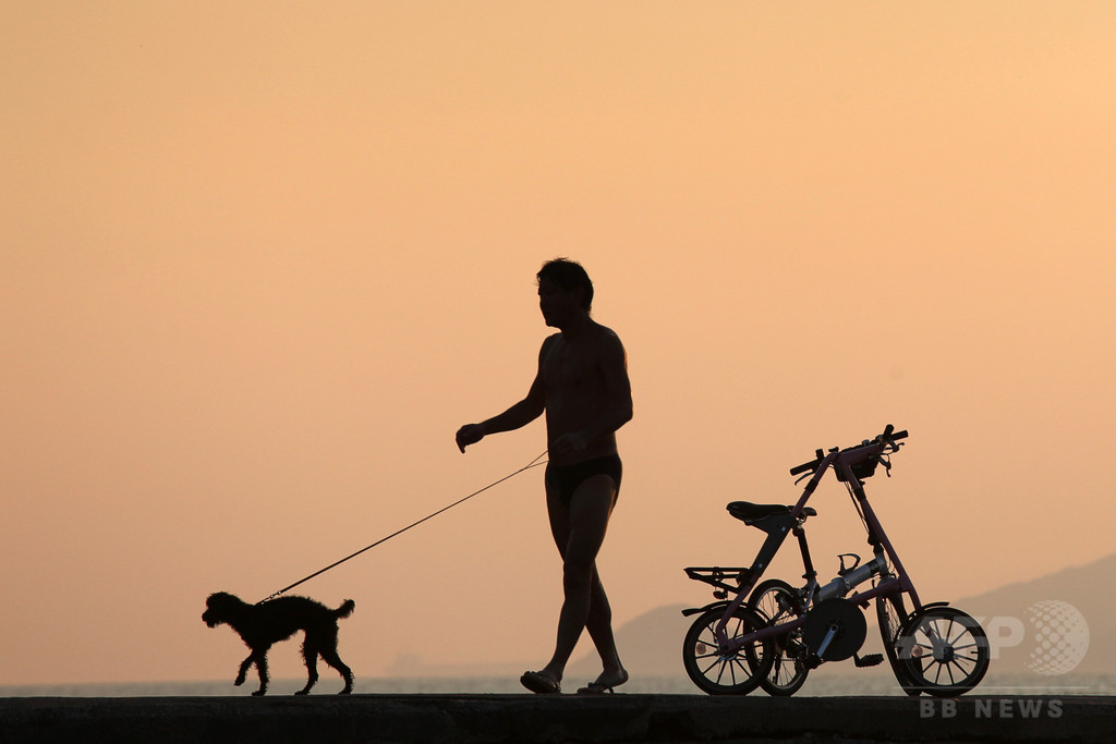 散歩中の犬がお手柄、脱獄トンネル嗅ぎつける ギリシャ 散歩中の犬がお手柄、脱獄トンネル嗅ぎつける ギリシャ