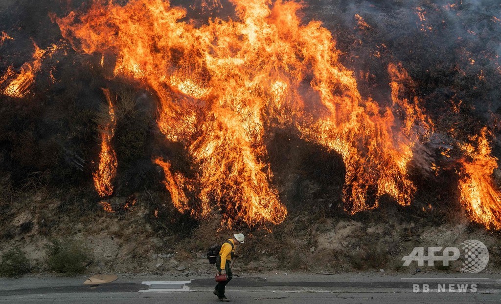 カリフォルニア南部の森林火災、焼失面積は30平方キロ以上