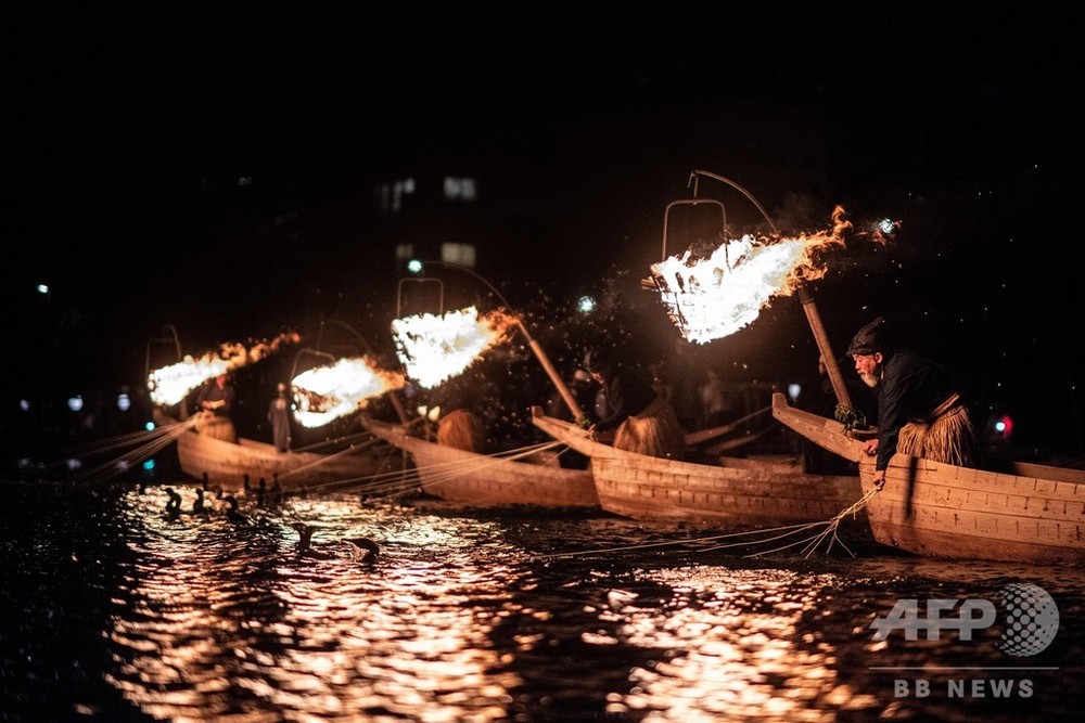 1300年の歴史持つ伝統漁法 鵜飼い 岐阜 長良川 写真26枚 国際ニュース Afpbb News