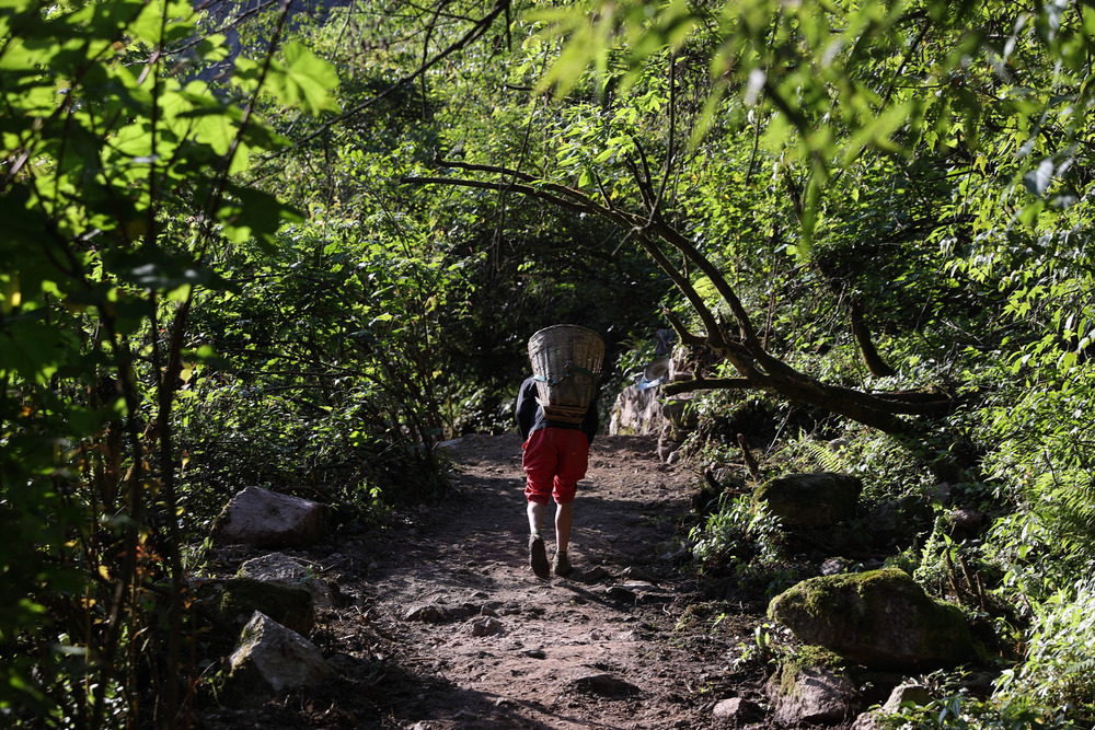 修復進む古代の交易ルート「大相嶺茶馬古道」 中国四川省滎経県 写真4枚 国際ニュース:AFPBB News