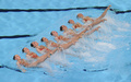 第15回世界水泳選手権（15th FINA World Championships）は22日、スペイン・バルセロナ（Barcelona）でシンクロナイズドスイミングのチームテクニカルルーティン（TR）決勝が行われ、ロシアが96.6点で金メダルに輝いた。

94.4点を記録したスペインが銀メダル、93.3点を記録したウクライナが銅メダルを獲得した。

演技に臨むロシアの選手（2013年7月22日撮影）。(c)AFP/JOSEP LAGO