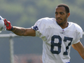 集まったファンの声援に応えるWRレッチ・コールドウェル（%%Reche Caldwell%%）。(c)AFP/Getty Images Jim Rogash
