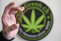 乾燥させた合法大麻草のつぼみ。スイス・ローザンヌのマリフアナ販売店「ドクター・グリーン」で（2017年4月7日撮影）。(c)AFP/FABRICE COFFRINI