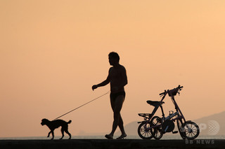 散歩中の犬がお手柄、脱獄トンネル嗅ぎつける ギリシャ 散歩中の犬がお手柄、脱獄トンネル嗅ぎつける ギリシャ