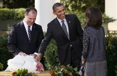 七面鳥にオバマ大統領が恩赦、余生は初代大統領の邸宅で