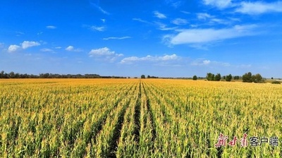 中国、デジタルツイン水利システムの建設を加速