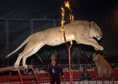 オマーンの文化に触れる「マスカット・フェスティバル」開催 - オマーン