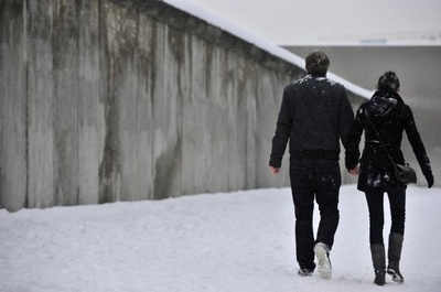 一夫一婦婚への「進化」の理由、異なる2つ説