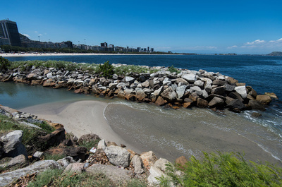 リオ五輪セーリング会場で薬剤耐性菌発見、医療廃棄物由来か